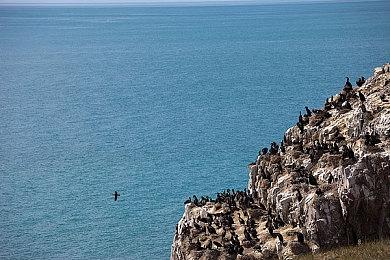农场模拟《鲁玛岛》11月20日发售 提供免费试玩